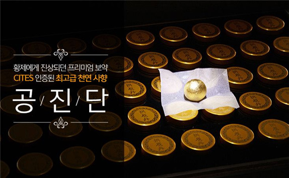 공진단